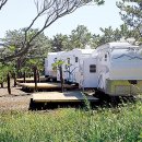 수목원캠핑장 이미지