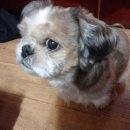 삼익반점 이미지