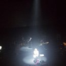 만9900원의 행복 서영은 콘서트 이미지