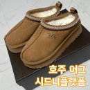 포인부츠 | [호주어그] 어그부츠 UGG 시드니 플랫폼 어그슬리퍼 EU36(230) 6L 오즈웨어어그(+직구, 사이즈팁)