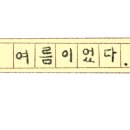 뽀송이네 펫살롱 이미지