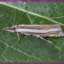 내면탐구 이미지