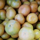 서준농장 이미지