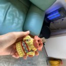 포항 이스트코스트 서핑 후기(햄복합니다…😍)