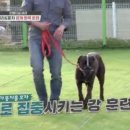 카리스마 이미지