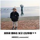 호미곶간 | 아이랑 포항 호미곶 다녀온 후기｜포항 아이랑 가볼만한곳 가족여행 추천