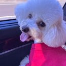 뉴여차펜션 이미지