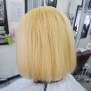 심리학자의미용실 포항점