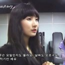 이러케 이미지