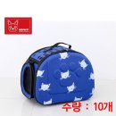 블루캔넬 이미지