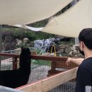 올라알파카 카페 이미지