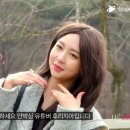 (주)라스코리아 이미지