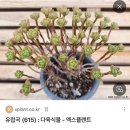 하루앤소쿠 고양원흥점 | 엄마랑 함께 배다골베이커리포레