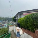 큰가마솥할매순대국＆양선지해장국 | 묵호 여행 2일차_카페한결/어달항/대진해수욕장/라라서프/서핑/큰가마솥할매순대국