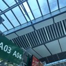 한산대항 공중화장실 | 아랍에미리트항공 모리셔스-두바이-인천 모리셔스 신혼여행 두바이공항 샤워시설 기내식
