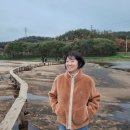 한다리마을 | 영주 무섬마을 가을여행 외나무다리 건너다 떨린 순간, 그리고 노을