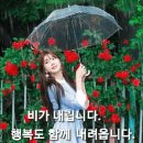 미소화(微笑和) 이미지
