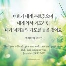 선하사 이미지