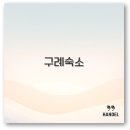 모텔쉬리 | 구례 숙소 가성비 독채부터 산수유축제 화엄사 근처까지 깔끔 정리