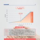 넥서스트레이더스 이미지