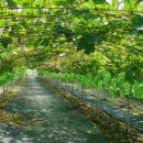 우적농장 이미지