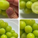 스마일농장 이미지