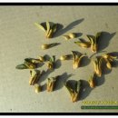 심복농장 이미지