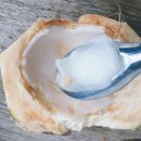 홍수 | [태국 빠이 현지인 추천 로컬과일가게, 홍수 후기] 나 홀로 치앙마이 살기 기록 24.