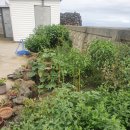 재란농장 이미지