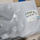 클라이밍 바지 추천 BG컴퍼니 시크릿 카고 클라이밍 팬츠 내돈내산 리뷰