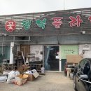 기버플라워 이미지