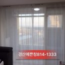 천년나무 이미지
