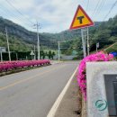 종합운동장 화장실(족구장) 이미지