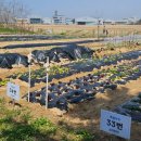 3공단3로-16 이미지