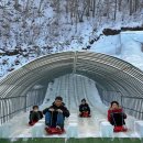씽씽민박낚시 | 청양 알프스마을 칠갑산 얼음분수 축제 후기, 눈썰매장부터 펜션까지 총정리!(ft. 기간)
