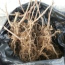 현경농장 이미지