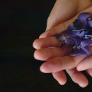 제일시장한의원 이미지