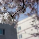 정릉14 이미지