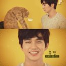 상상고양이 이미지