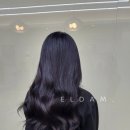 (주) 엘담 이미지