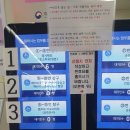 국제학교 서류준비 번역공증업체 내돈내산 비용정리 (feat. 한국의 빠른 일처리!!)