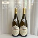 비네즈 | 가성비 부르고뉴 화이트와인 추천, 도멘 쉔 마꽁 라로슈 퓌드쉔 2021