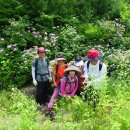 방주펜션 이미지