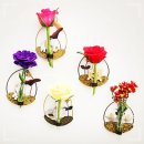 라인인테리어 이미지