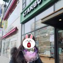메종드씨펜션 네이버블로그