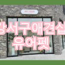 동물사랑애견샵 이미지