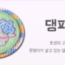 문멍 네이버블로그