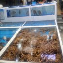 영해시장 공영주차장 내 이미지