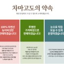 차마고도능이버섯