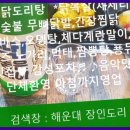 닭발생각 이미지
